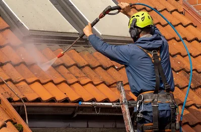 Démoussage et hydrofuge de toiture au Mesnil-Garnier